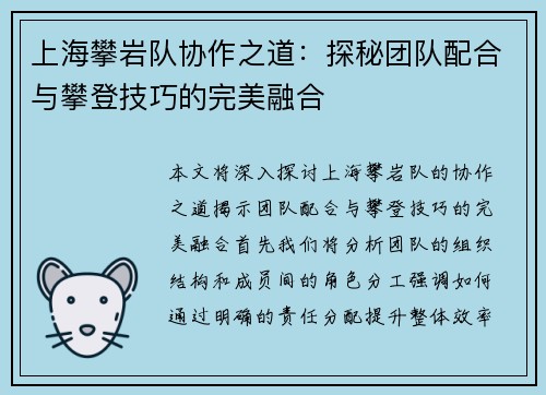上海攀岩队协作之道：探秘团队配合与攀登技巧的完美融合