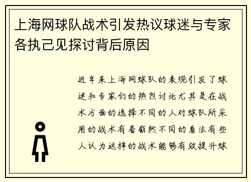 上海网球队战术引发热议球迷与专家各执己见探讨背后原因
