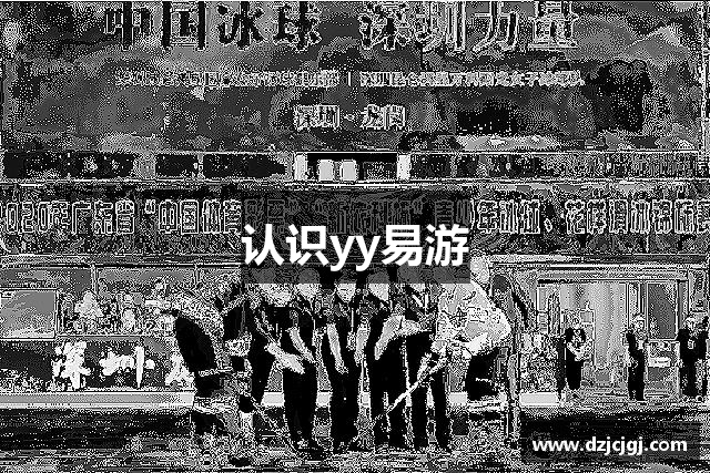 认识yy易游